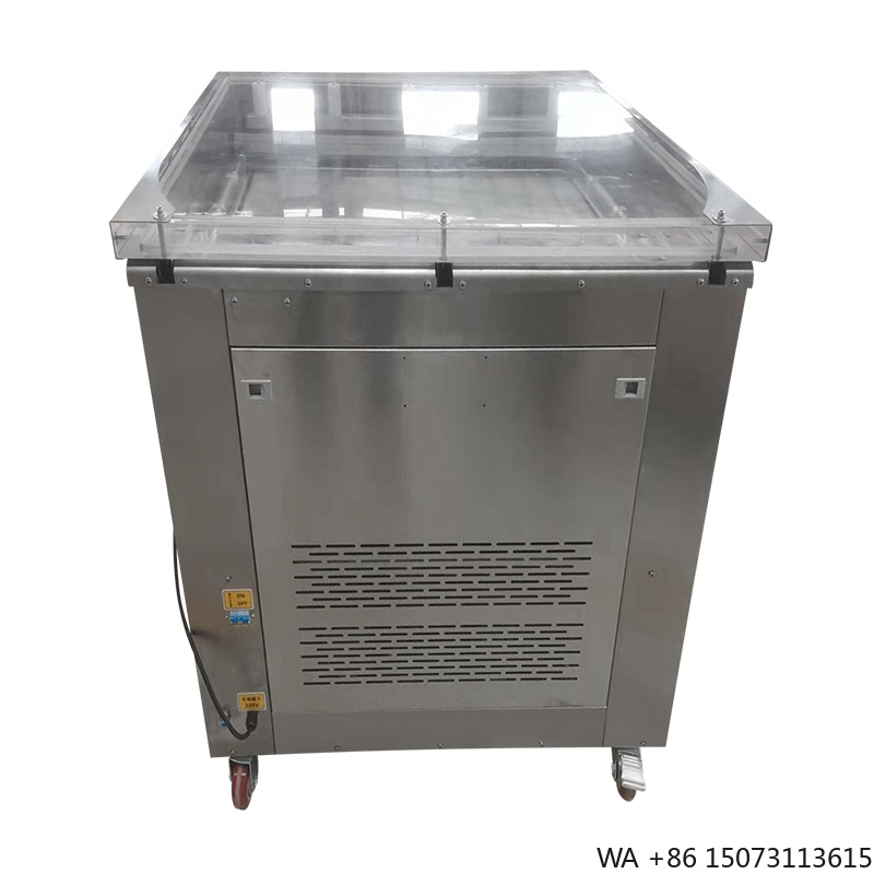 Food Vacuum Sealer - Tragbarer Vakuum-Frischhaltesealer aus Stahl für Fisch,