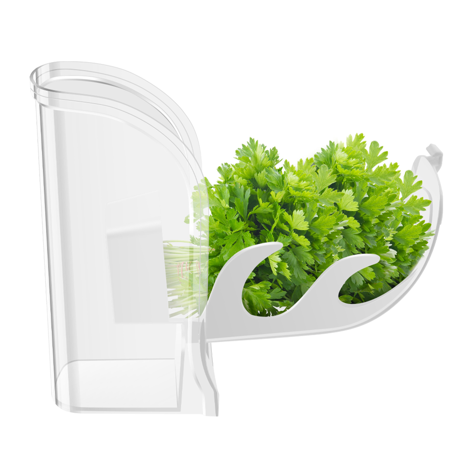 Kräuter-Crisper-Sparbehälter,  – Kitchen Gadgets Modern Bewertung und Preis