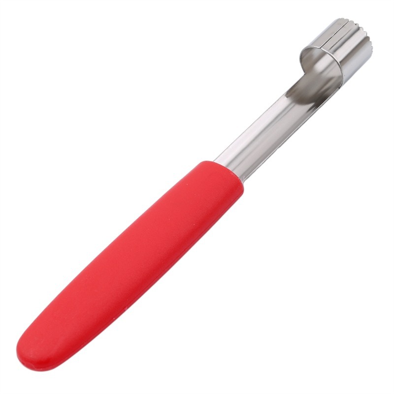 Entkerner für Birnen und Früch – Kitchen Gadgets & Toys Bewertung und Preis