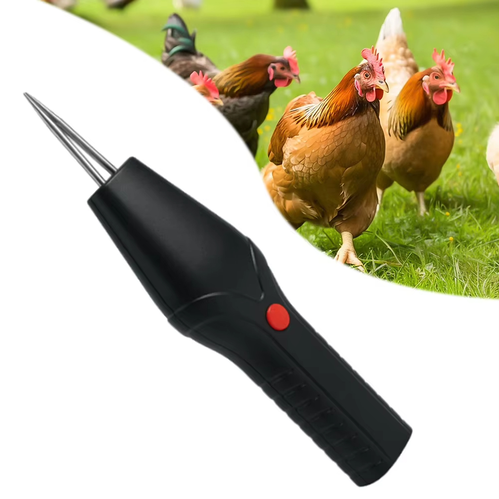 Elektrischer USB-Aufladbarer S – Kitchen Gadgets Modern Bewertung und Preis