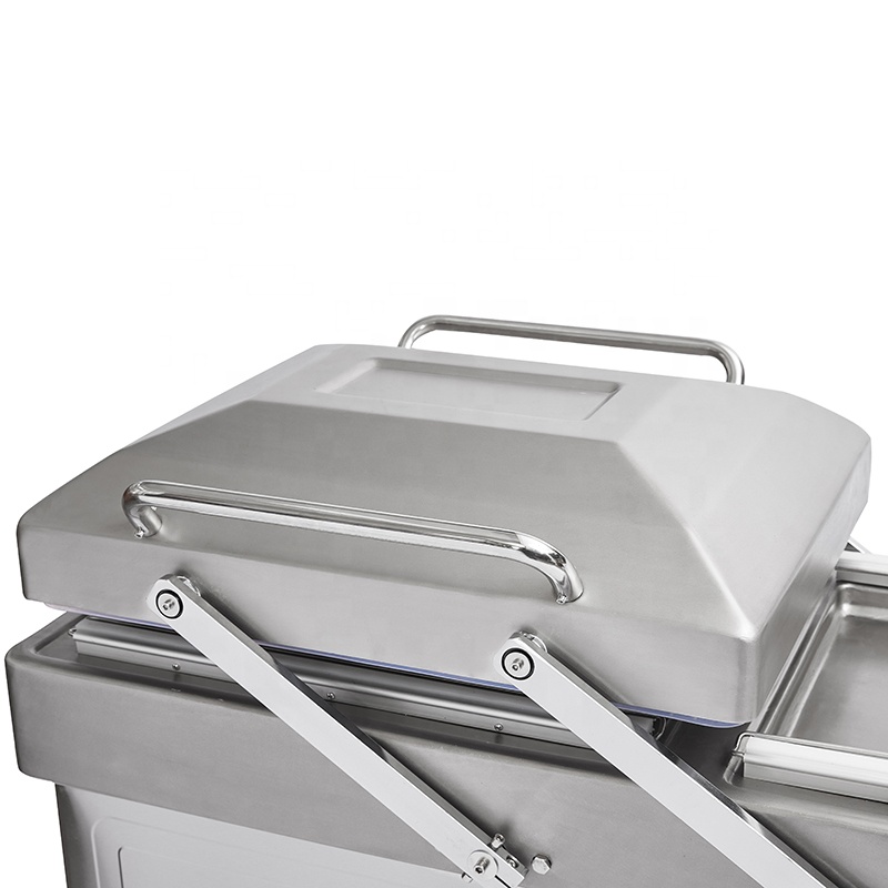 Dz-500_2sa Tieftyp Doppelkamme – Food Vacuum Sealer Bewertung und Preis