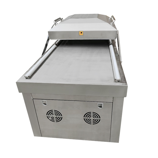 Hochwertige Doppel-Vakuumversi – Food Vacuum Sealer Bewertung und Preis
